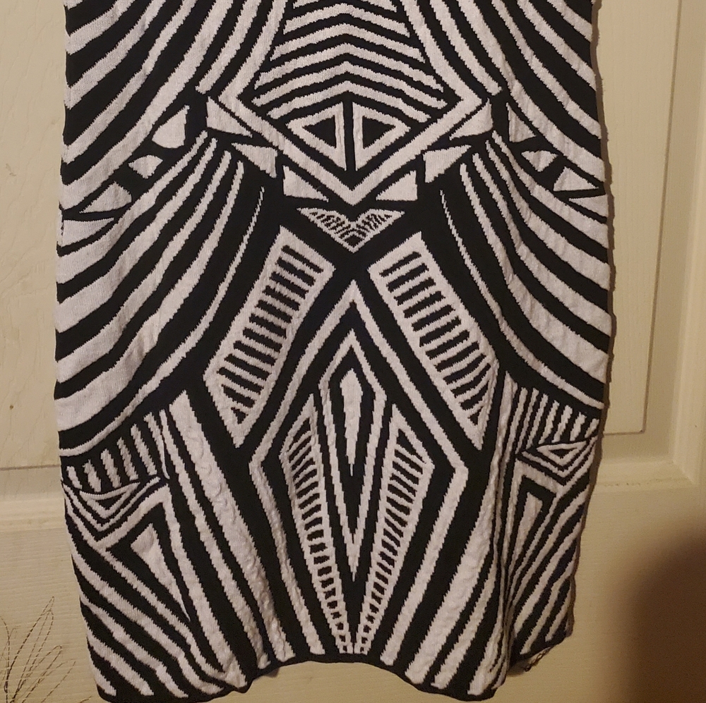 Romeo and Juliet Couture Mini Dress